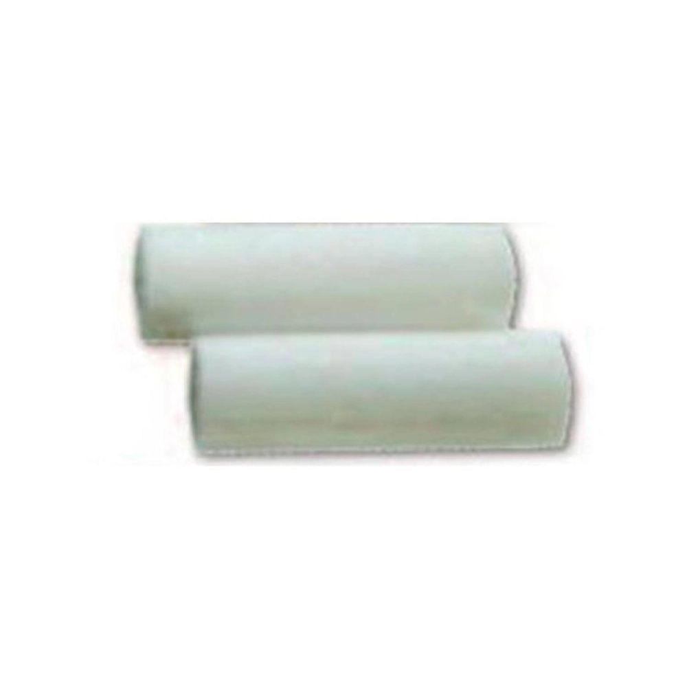 Dentsply Sirona Chewies Aligner Tray Seaters blanc 2 pcs