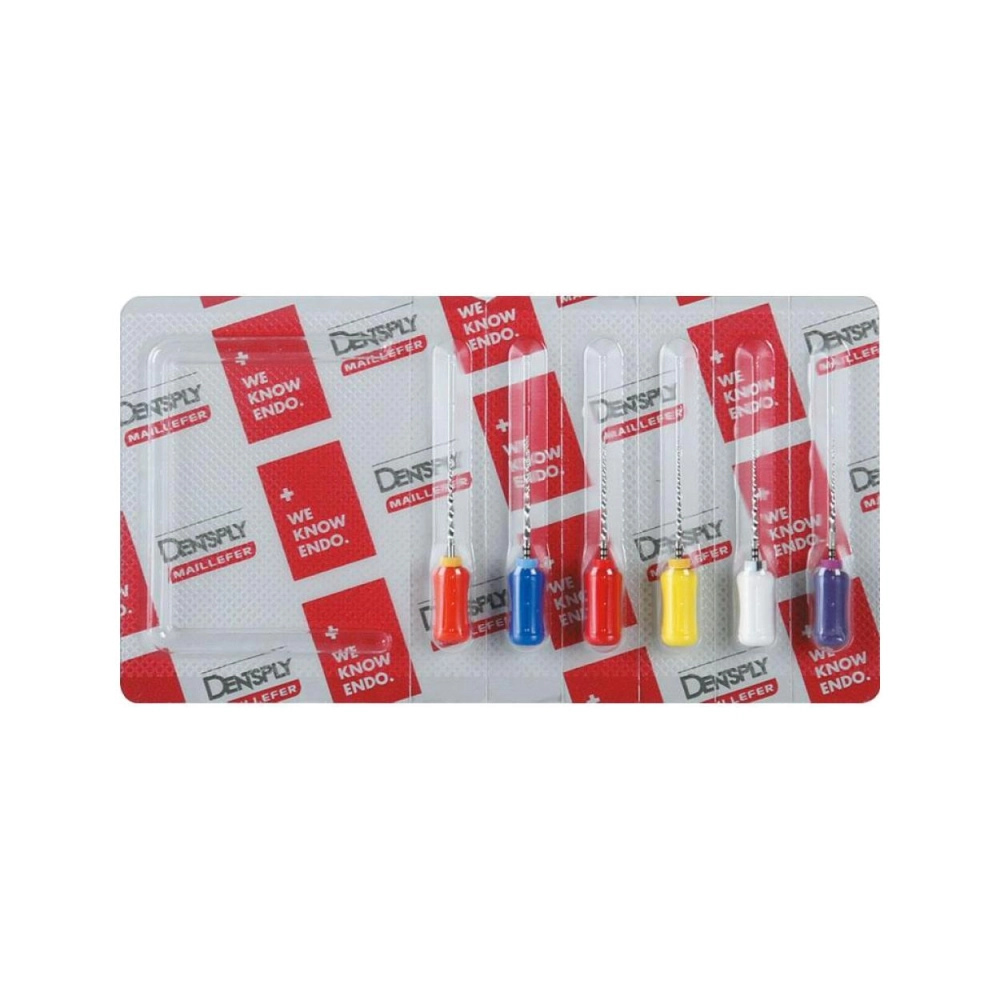 ProTaper Starter Kit A0418 manuel 21 mm New