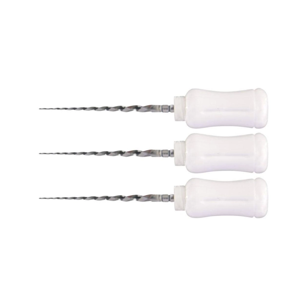 ProTaper Shaping Files A0416 manuel 21 mm S2 New