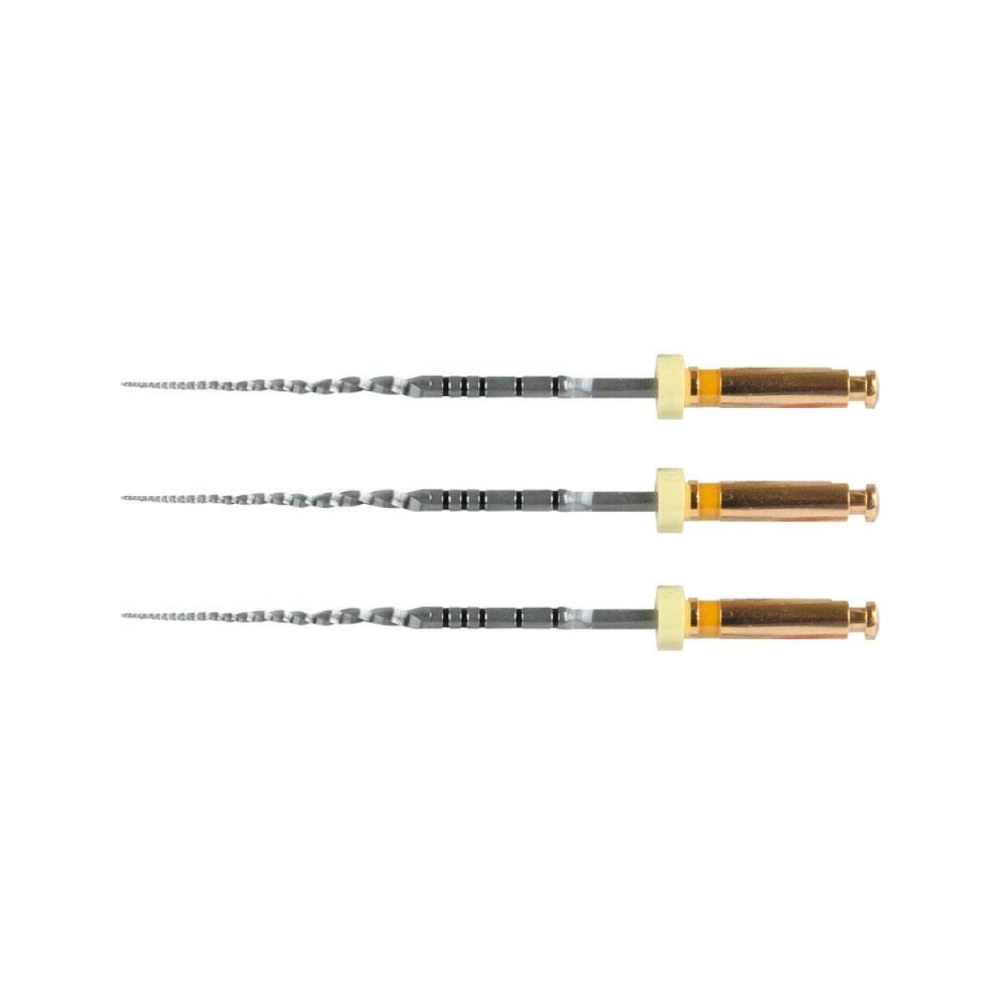 ProTaper Next Files A0800 CA 31 mm X1