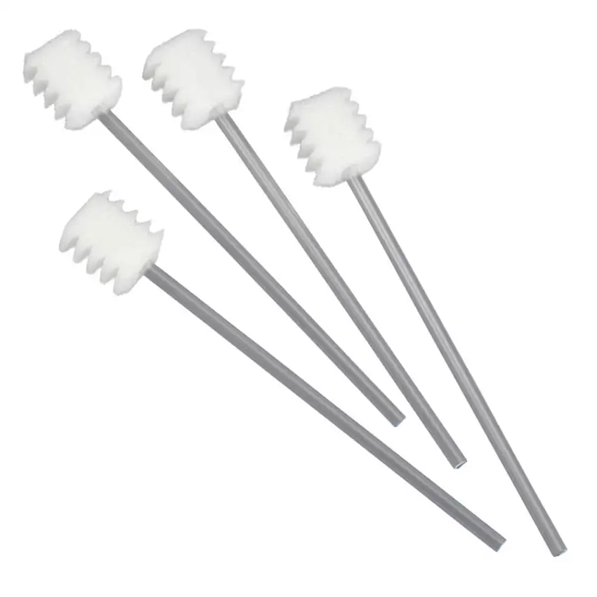 Bâtonnet soins de bouche mousse à dents (sachet de 20)