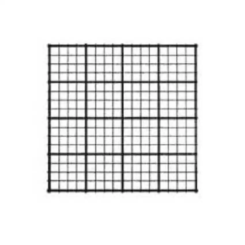 Hecht Assistent Hématimètre Fig. 4 – Classification selon Fuchs-Rosenthal