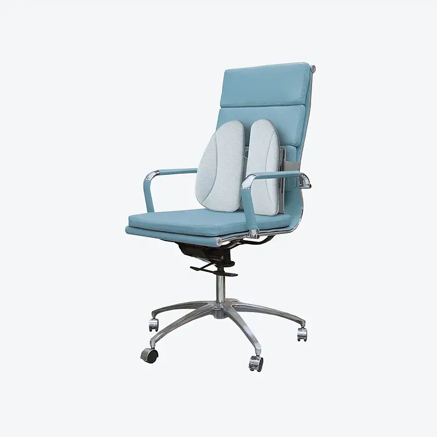 Soutien dorsal ergonomique - Chauffant - Homedics