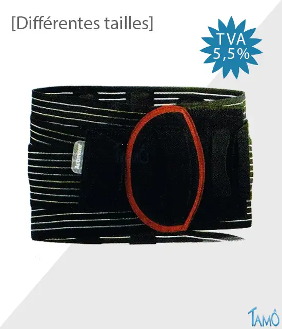 CEINTURES LOMBAIRES DE SECURITE - XL
