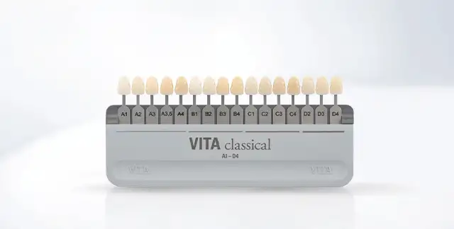 Traxodent Recharge Boite 60pcs