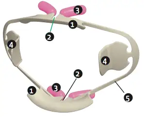 Clamp Black Line 13A Left Molar