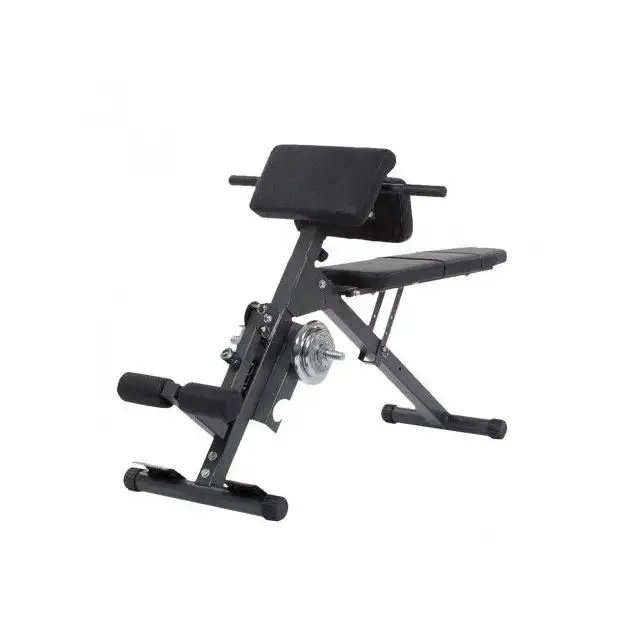 Ab Trainer / Back Trainer Finnlo