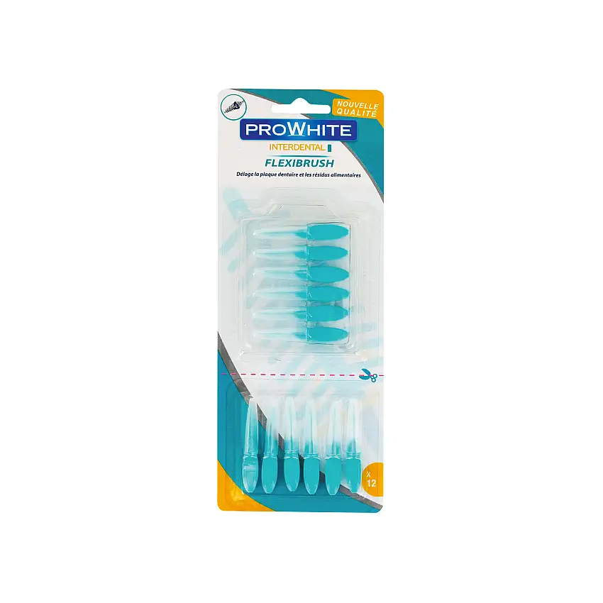 FLEXIBRUSH X6 Brush + 6 Refills - Biosynex