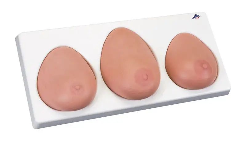 Modèle de palpation mammaire - 3 seins sur socle
