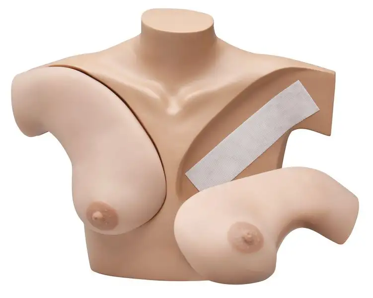 Modèle anatomique de palpation mammaire avec seins détachables