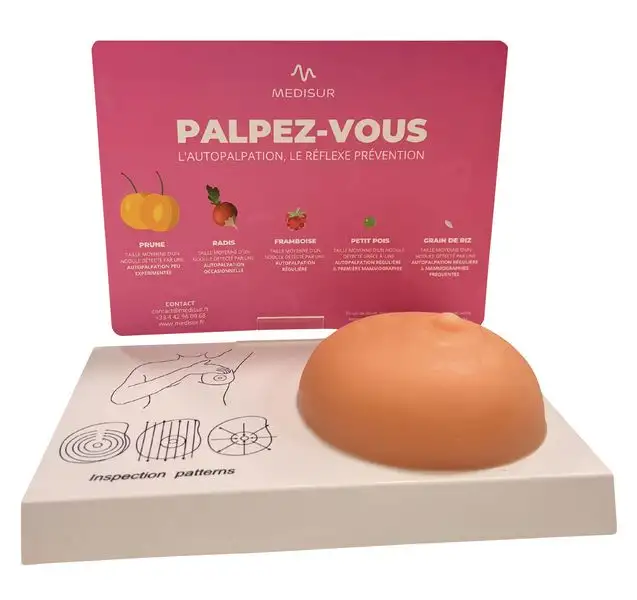 Modèle de palpation mammaire - sein gauche sur socle