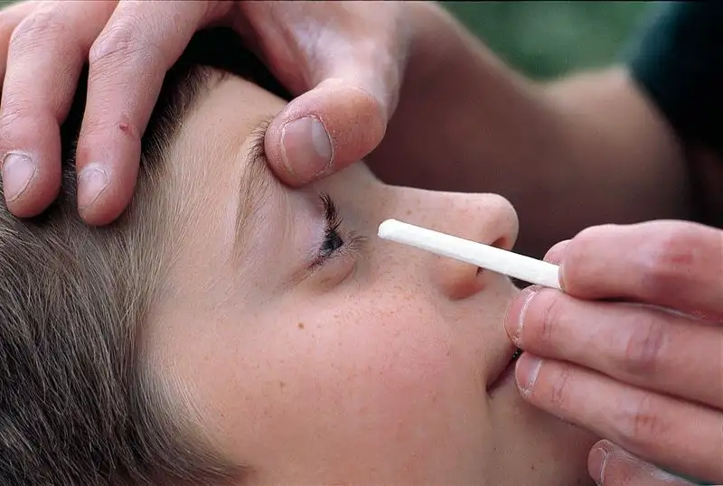 Bâtonnets ophtalmiques