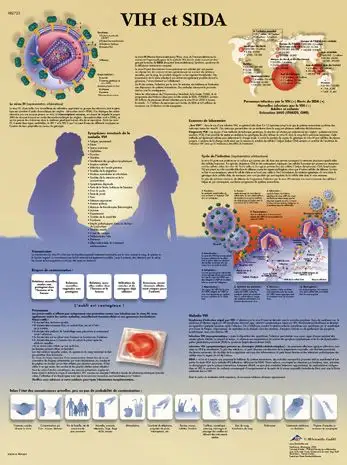 Planche anatomique - VIH et SIDA