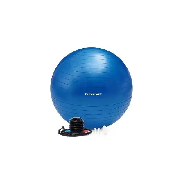 Tunturi Gymball 55 cm Bleu Anti Burst