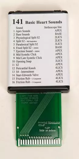 Simulateur de Bruits du cœur fondamentaux 3B Scientific W49423