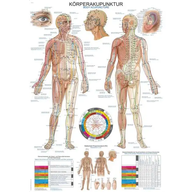 Erler-Zimmer Poster _x0084_Acupuncture corporelle_x0093_