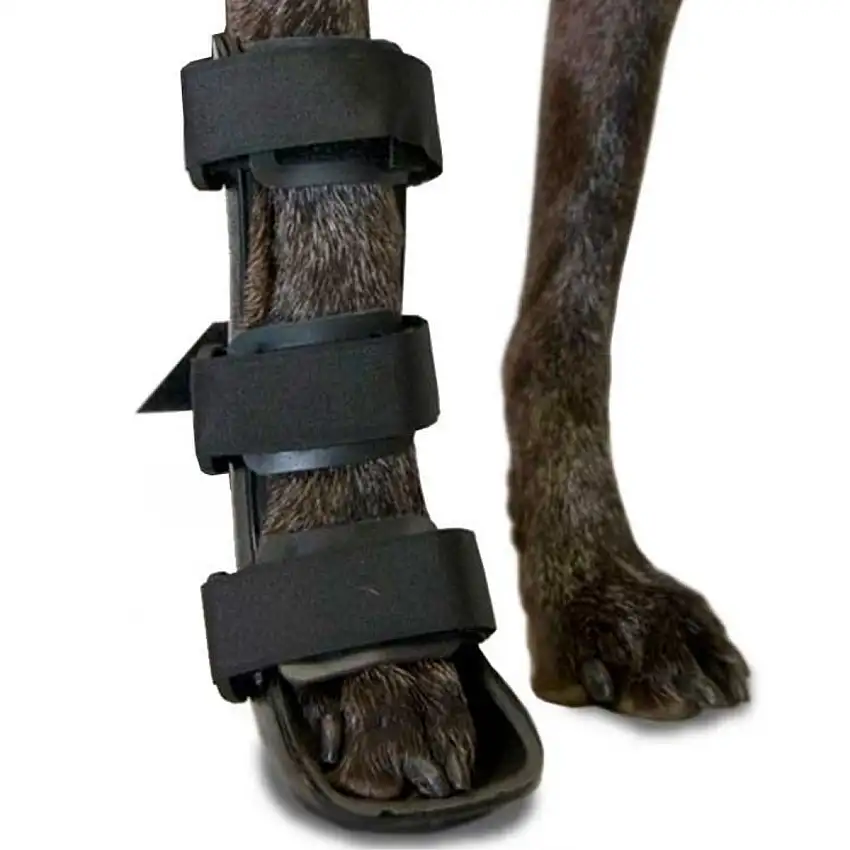 Attelle pour patte avant de chien en polypropylène | 6 tailles - XXS