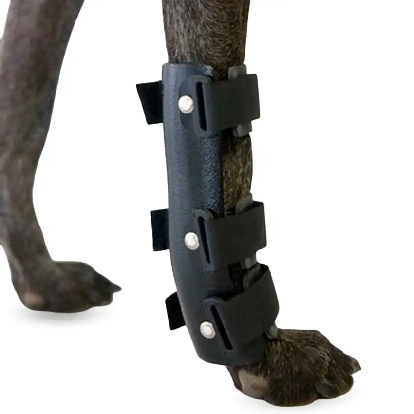 Attelle pour Carpe pour Chien | Support Canin en 5 Tailles - XS