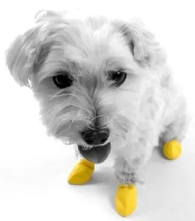Bottes en Caoutchouc Imperméables Réutilisables pour Chien | Par tailles - Mini (jusqu'à 2.54 cm) / Noir