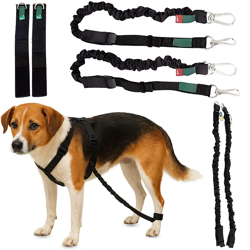 Dispositif pour Ataxie Canine | Aide pour Chiens - 40 - 45 cm / 5 - 7 cm
