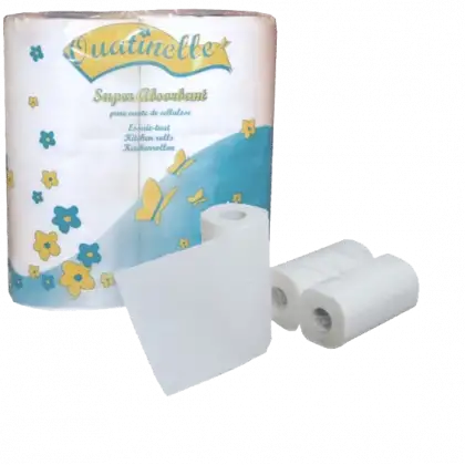 Essuie-tout super absorbant (40 Rouleaux de 50 feuilles)