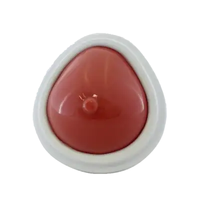 Fantôme d'entraînement pour biopsie mammaire Gphantom - 11 structures