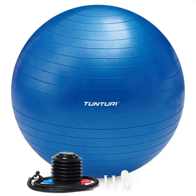 Tunturi Gymball 65 cm Bleu Anti Burst