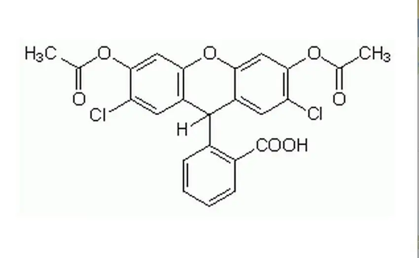 2',7'-DICHLOROFLUORESCIN DIACETATE >94% HPLC - 100MG