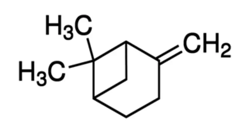 BETA-PINENE PHL89335 - 100MG