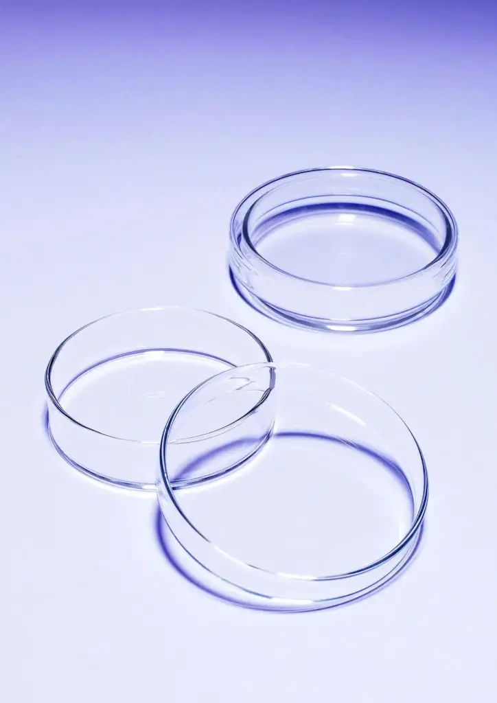 BOITE DE PETRI EN VERRE PYREX D.100MM H.20MM-PACK DE 10