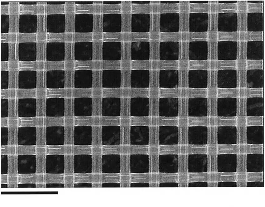 FILTRE NYLON P.10UM D.47MM PACK DE 100