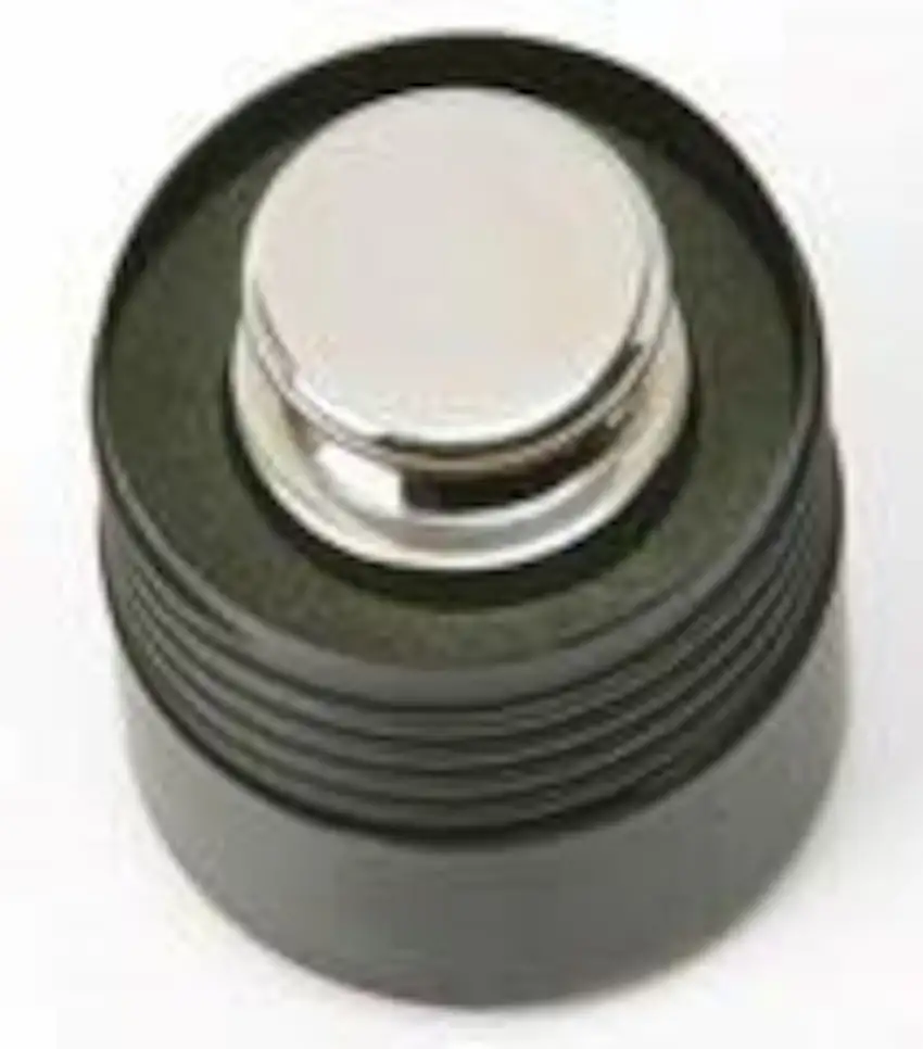 POIDS ETALON INOX 500G CLASSE F2 AVEC BOITE PLASTIQUE