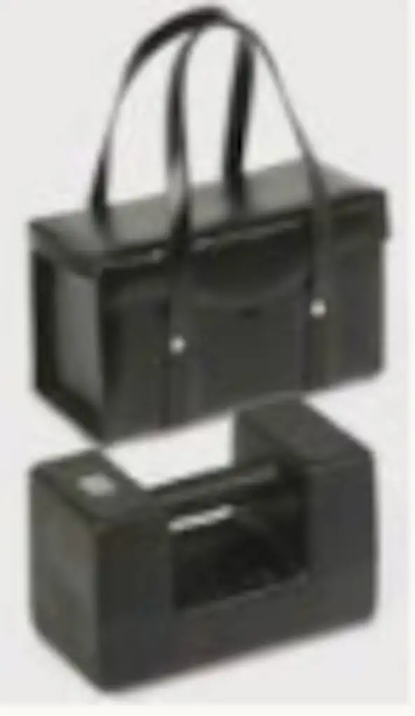 POIDS ETALON FONTE PEINT 20KG CLASSE M2 ETUIS EN CUIR DAKKS