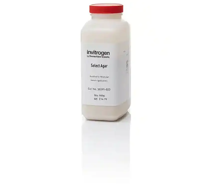 SELECT AGAR INVITROGEN - 500G