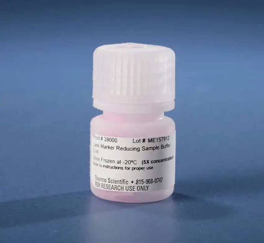 SOLUTION TAMPON ECHANTILLON PIERCE LANE MARKER 39000 - 5ML