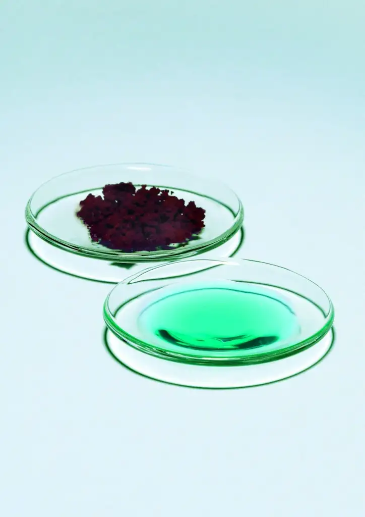 VERRE DE MONTRE PYREX D.150MM PACK DE 10