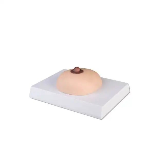 Modèle de palpation du cancer du sein