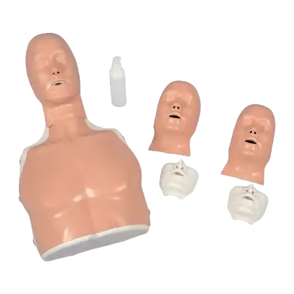 Mannequin de réanimation 3B Scientific Basic Billy