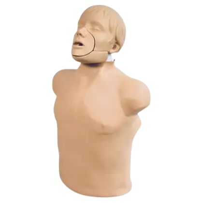 Mannequin de réanimation cardio-pulmonaire 3B Scientific Brad