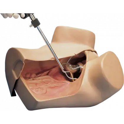 Mannequin de simulation pour gynécologie ZOE® S504.100