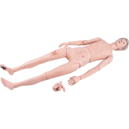 Mannequin de soins 3B Scientific II P11/1