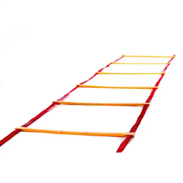 Échelle de vitesse de puissance musculaire