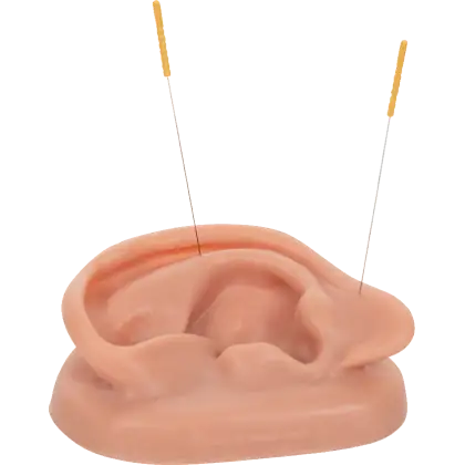 Oreilles pour acupuncture (pack de 2)