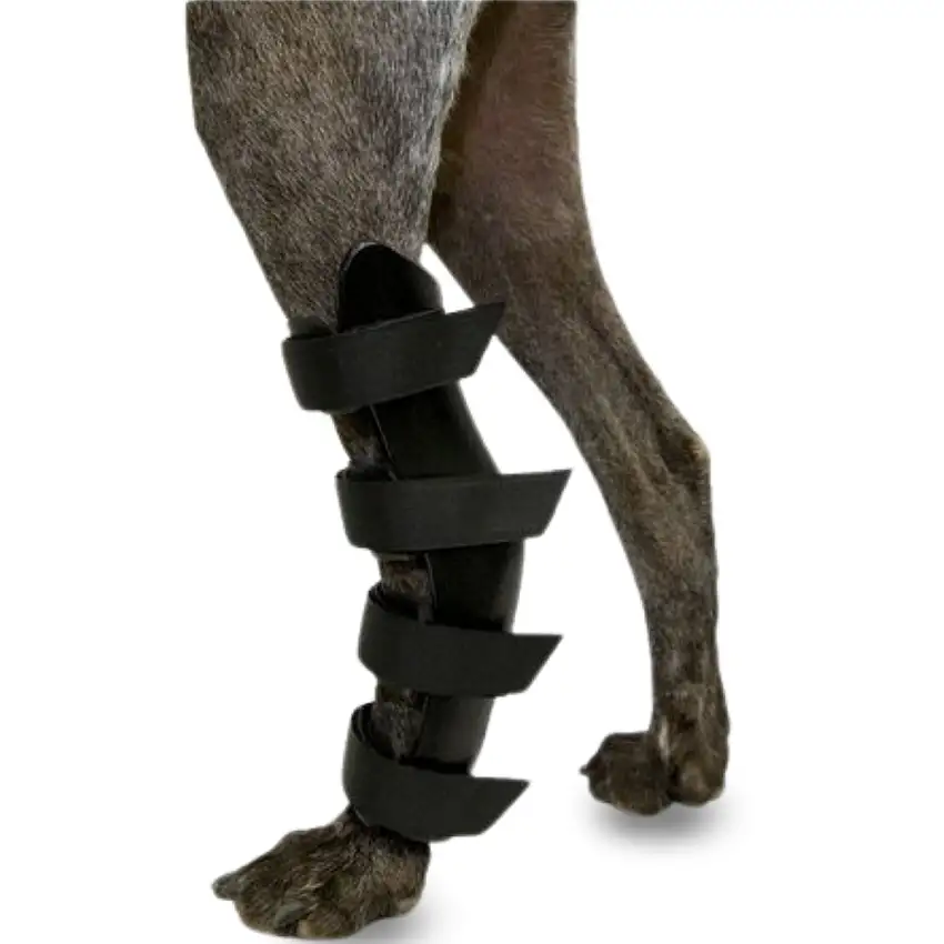 Orthèse pour Chiens avec Lésions de Tarse et Cheville - XS