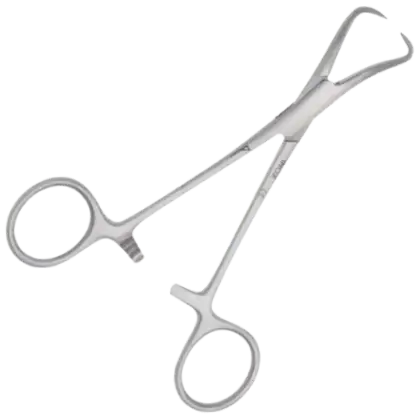 Pince de Backhaus en inox - 12 cm