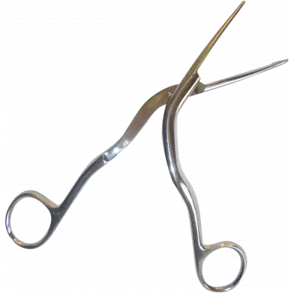 Pince de Magill en inox