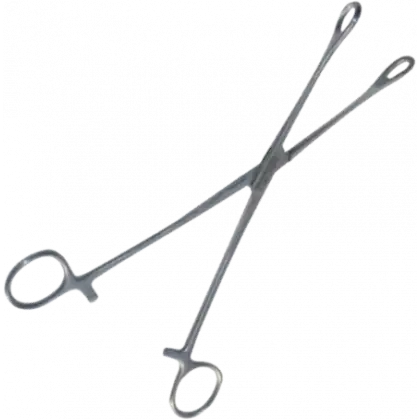 Pince Foerster droite en inox - 24 cm