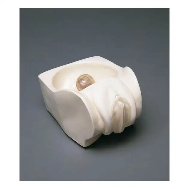 Modèle pour préservatif féminin