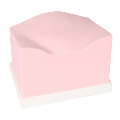 Simulateur d'échographie de vessie Erler Zimmer SonoEz