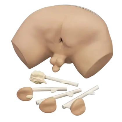 Simulateur d'examen de la prostate Erler Zimmer